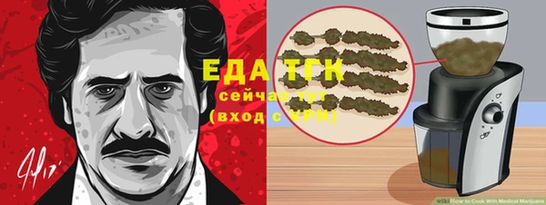 тгк Алзамай