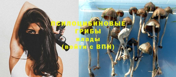 мескалин Алексин