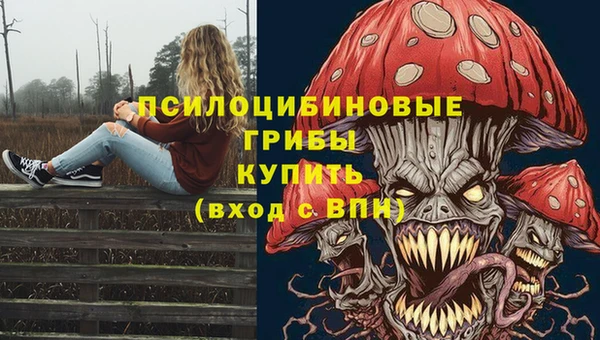 мескалин Алексин