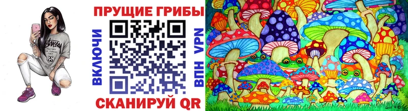 Галлюциногенные грибы Psilocybine cubensis  Нижний Тагил 